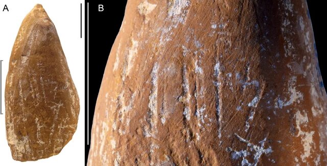 از «نئاندرتال»ها چه می‌دانید؟